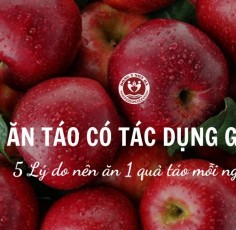 Ăn táo có tác dụng gì? 5 Lý do nên ăn 1 quả táo mỗi ngày